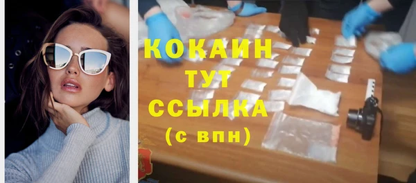 мяу мяу мука Аркадак