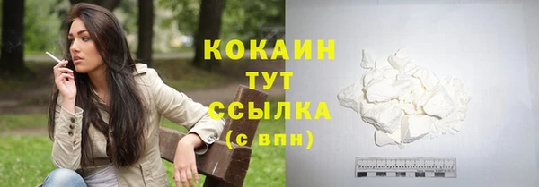 спайс Алексин