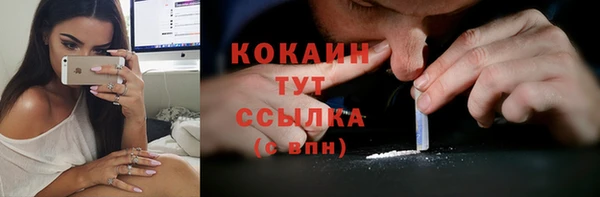 мяу мяу мука Аркадак