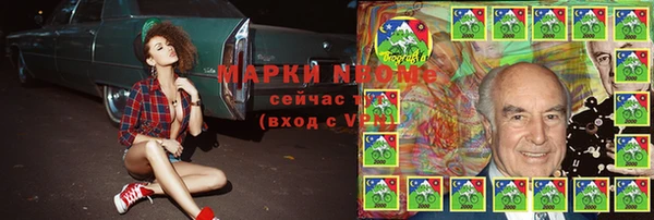 стаф Арсеньев