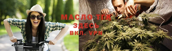стаф Арсеньев