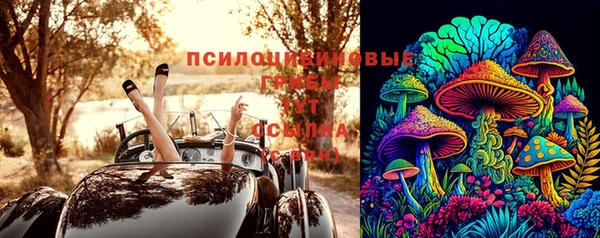 spice Баксан