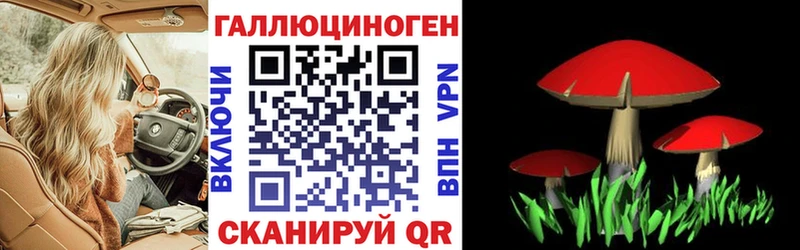Галлюциногенные грибы GOLDEN TEACHER Спас-Деменск